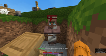 when you look at villager
