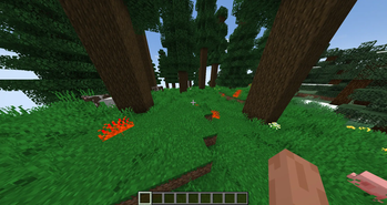You Could Also Find Yourself Across Hell Grass