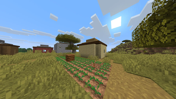 kitchen-garden