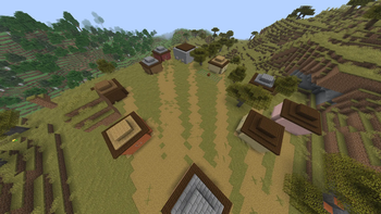 Top view of the pigmen's village