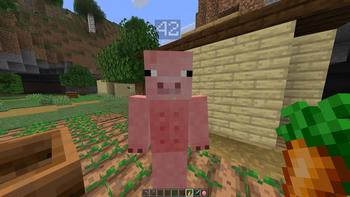 trading with a pigman