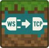 ws2tcp