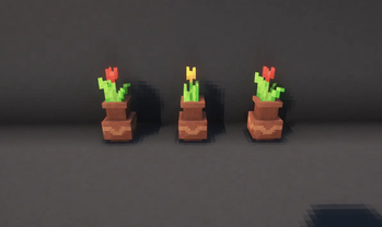 Small Plant