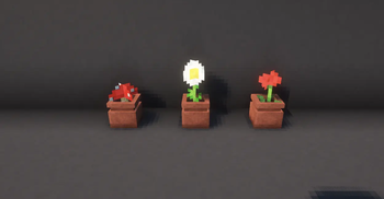 Mini Plant