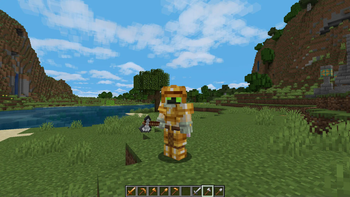gold armor and some tools