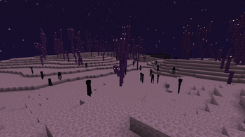 End Barrens