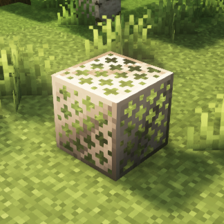 Iron Grate