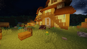 Home at Night