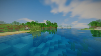 Forest beside Lake