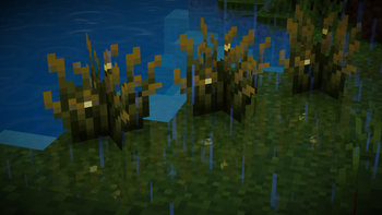 Firefly Bush in Rain