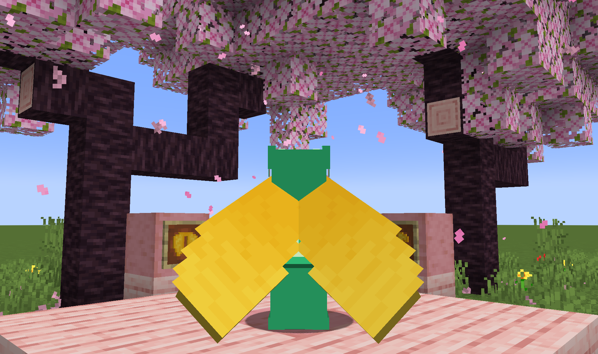 Screenshot demonstrating Resource Pack