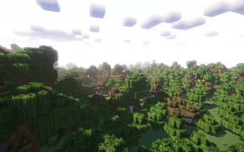 forest