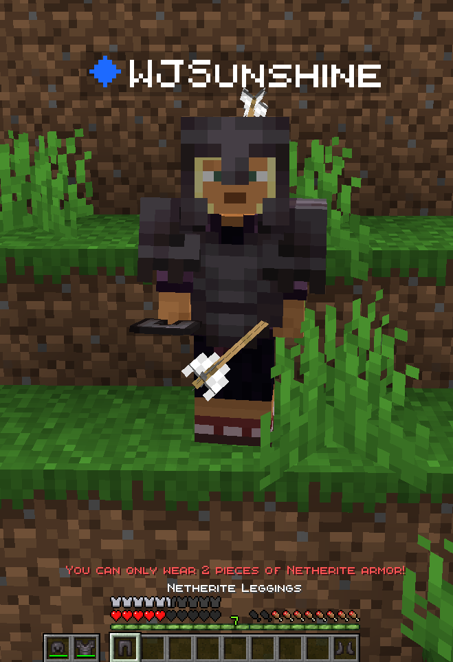 Netherite Armor Limit