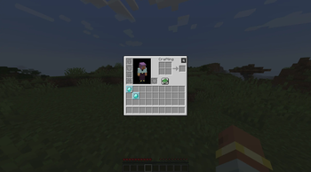 Duplicate item highlighting