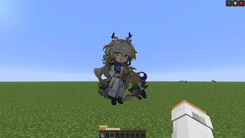 Totem use 