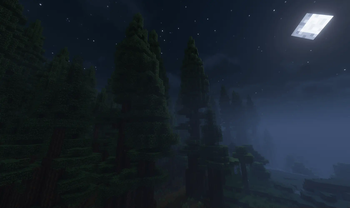 Night & Fog Preview
