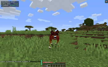 The Druid's Form