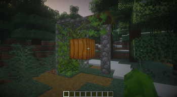 A small pumpkin garden in a taiga village