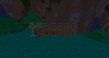 Meixcan Debris