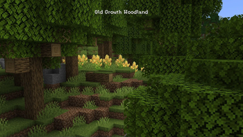 Biomes O' Plenty's Old Growth Woodland