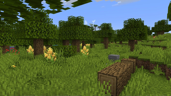 Biomes O' Plenty's Woodland