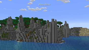 Stony Shore