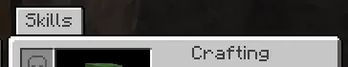 Skills button in the inventory