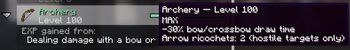 Archery at Level 100