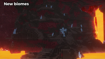 New nether biome