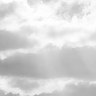 Light Gray Sky