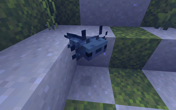 Tiny little guy thing