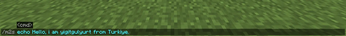 An usage example for base.
