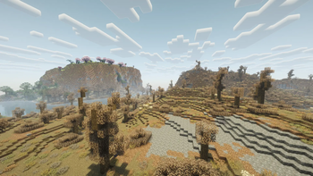 Biomes