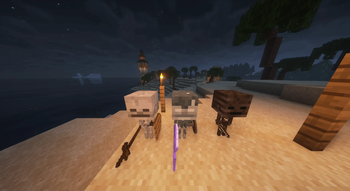 Baby Skeleton, Baby Stray, Baby Wither Skeleton 