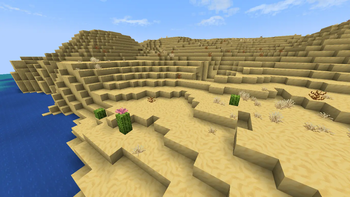 Desert