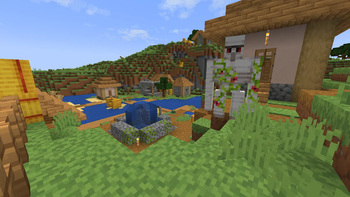 Village