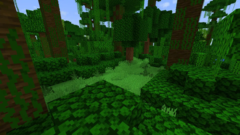 Jungle