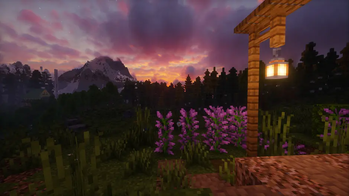 Night scene