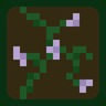 Purple Flowering Vines