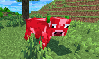 A singular Apple Cow.