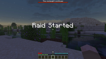Raid