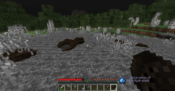Corpses of Ceryidyeaan Leeches