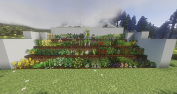 Front View w/ Shaders