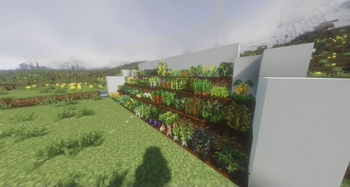 Right View w/ Shaders