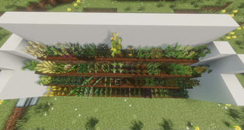 Top View w/ Shaders