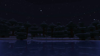 Night time Taiga