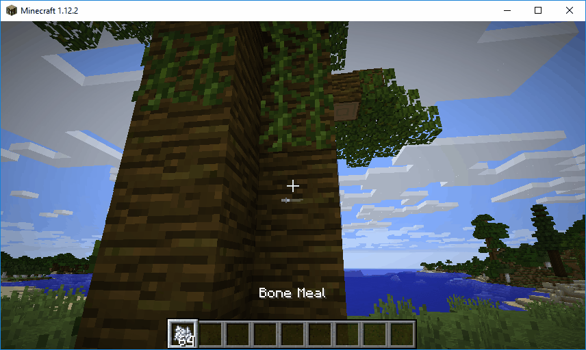 Bone Meal on Vines