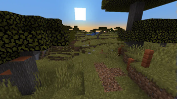 Savanna