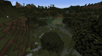 Swamp