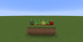 Overview (Green Version)